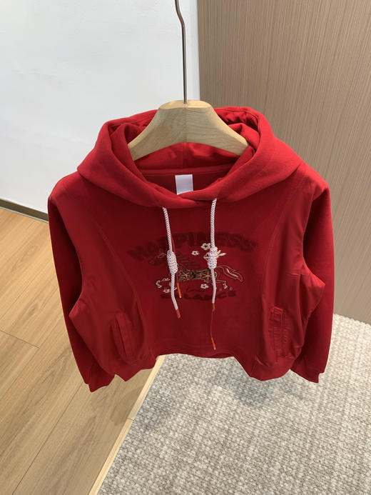 雅莹唐嫣同款骏马奔腾刺绣连帽卫衣 商品图9