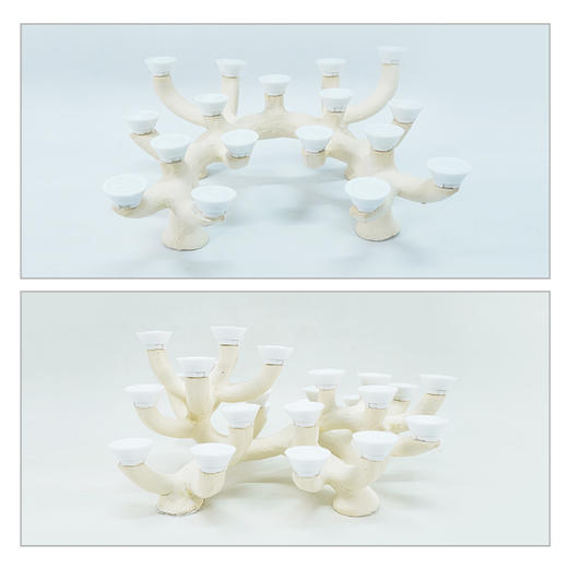 40-45缸枝状烧制造景 商品图3