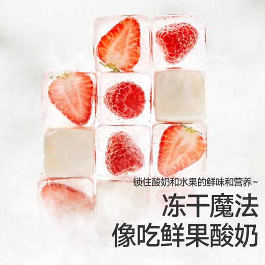【零食】高钙益生菌水牛酸奶溶豆18g（奶香原味/草莓蔓越莓/蓝莓树莓） 商品图5