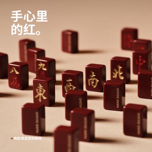 玛丽黛佳种籽气垫奔赴限定新年礼盒限定版贴肤锁妆遮瑕不易脱妆 商品图3