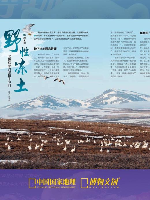 博物杂志 2026年2月刊 北极 商品图8