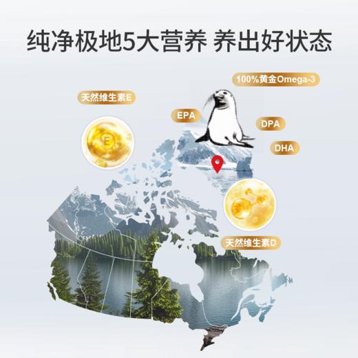 BEC轻脂海豹油4瓶|1颗顶10颗鱼油！养出好精力/皮肤/秀发/骨骼 商品图2