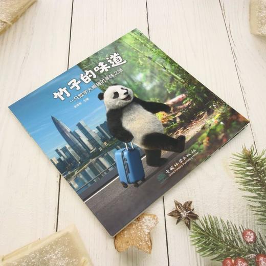 竹子的味道 &3369 商品图2