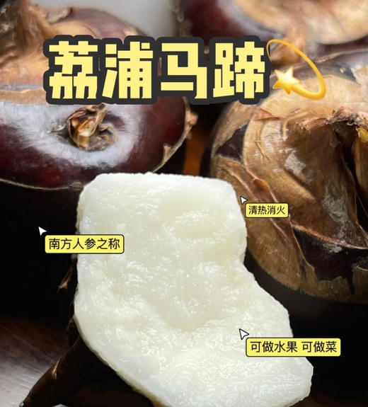 【荔浦马蹄】皮薄肉厚，肉质清脆，细腻无渣，甜嫩多汁贼好吃！而且，新鲜采挖，还带着泥土呢，比超市买的那些新鲜多了！用水一洗，外皮就亮闪闪的，削皮后更是白白净净，看着就让人想咬一口！ 商品图1