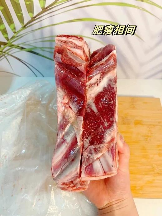 新西兰原切手把羊排挑选30斤左右的新西兰羔羊 整条原切0添加 品质好货 肉质鲜美口感软嫩 骨小肉多基地直邮 商品图1