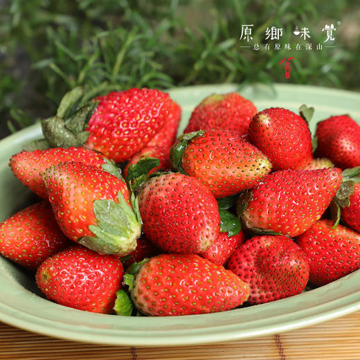 【买赠，实发1.15-1.2公斤】大理生态草莓（基地直发-顺丰空运包邮）| 2斤/箱，来自云南大理，生产者：高海斌（合作生产，公平贸易） 商品图7