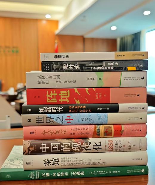 2025年广西师范大学出版社十大好书（3本以上送【绝版书】鲍勃·迪伦诗歌集随机一册，一套10本加赠【斜挎包】1个） 商品图11