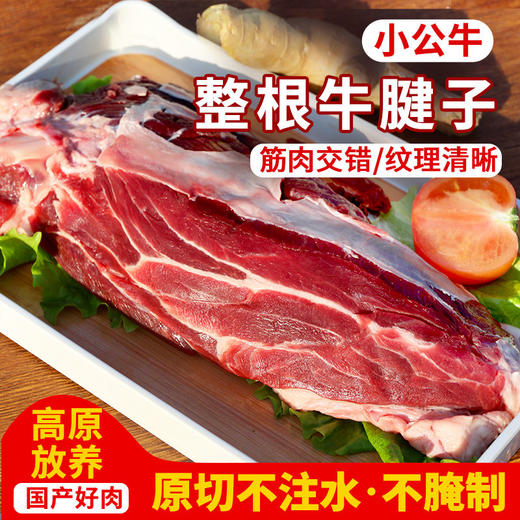 整根牛腱子肉  高原放养牛肉  纹理清晰  肉质紧实  不注水 商品图0
