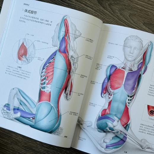 《DK瑜伽解刨学》 商品图4