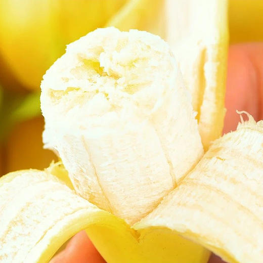 新鲜小米蕉自然成熟个头娇小新鲜采摘肉质细腻酸甜口感肉厚皮薄老少皆宜 商品图4