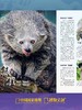 博物杂志 2026年2月刊 北极 商品缩略图7