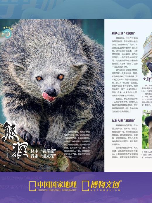博物杂志 2026年2月刊 北极 商品图7
