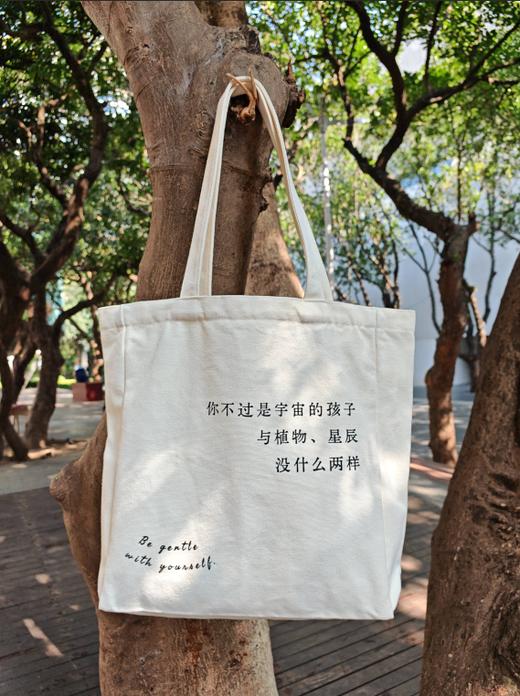 丹妈定制帆布袋 商品图4