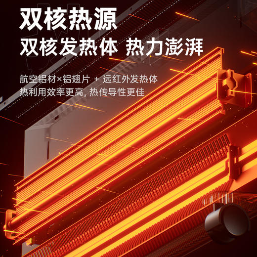 radialight取暖器家用节能省电立式暖风机速热恒温电暖气片NDLX 商品图2