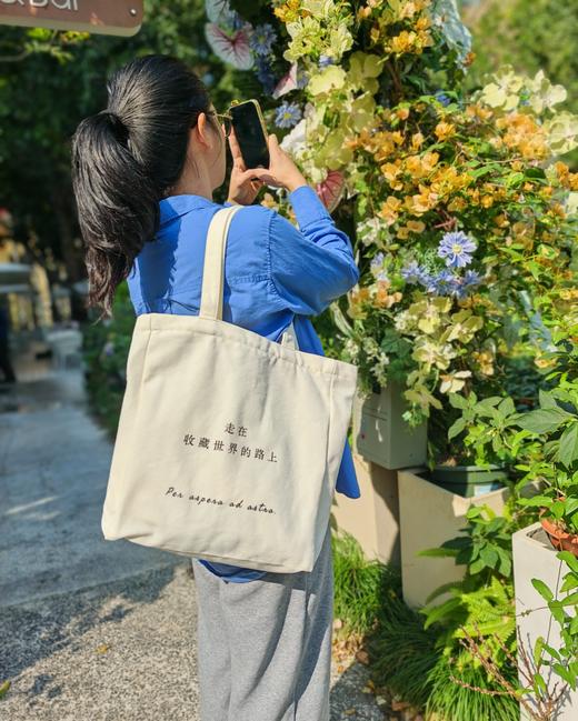 丹妈定制帆布袋 商品图8