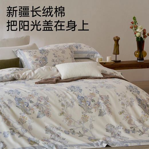 新疆长绒棉60支印花四件套(清禾) 商品图1