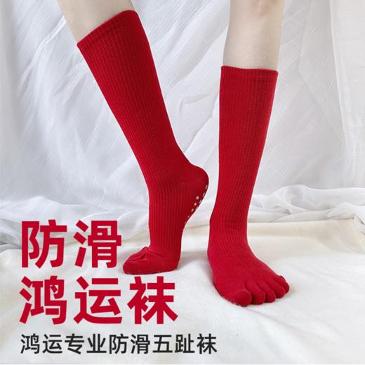 壁虎瑜伽【2601WZ496】鸿运专业防滑五趾袜【5天发货】 商品图0