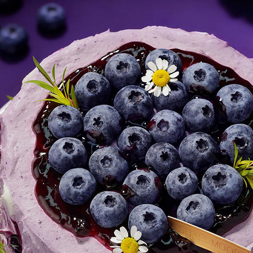 [幽谷.蓝莓秘境]蓝莓酸奶轻乳酪 | 旋木烘焙 商品图3