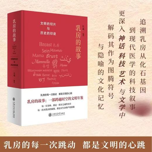乳房的故事 商品图1