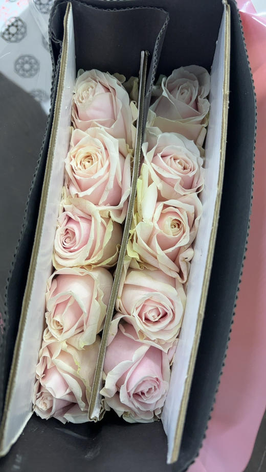 景都粉雪山D处理 商品图1