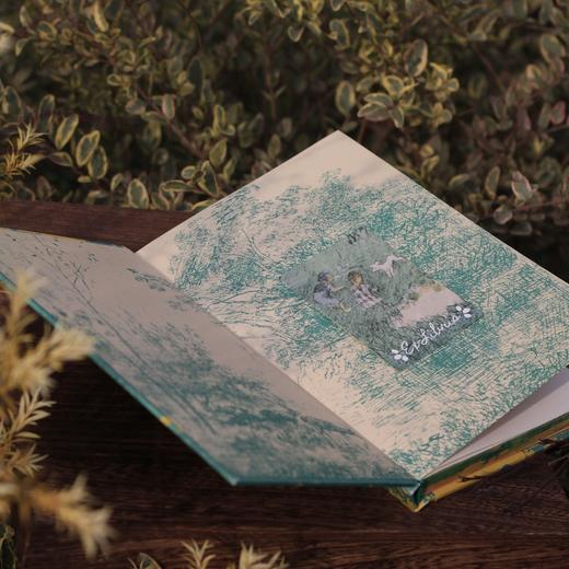 【刷边收藏＋赠文艺小卡＋藏书票】《自然纪事（插图珍藏版）》 商品图3