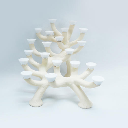 40-45缸枝状烧制造景 商品图4