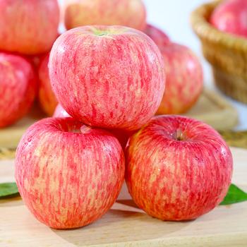 京觅洛川红富士苹果 12枚单果235g+新鲜水果生鲜脆甜团购送礼源头直发 商品图1