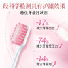 狮王细齿洁牙龈倍护软毛成人牙刷 商品缩略图1