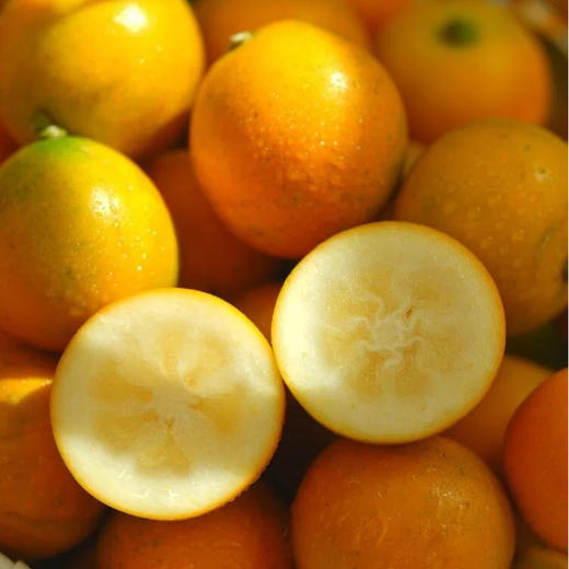 融安滑皮金桔二代 长在树上的“小糖炮”，从皮甜到心，水嫩香甜不涩口，连皮一起吃，水嫩香甜不涩 商品图5