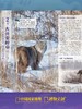 博物杂志 2026年2月刊 北极 商品缩略图4
