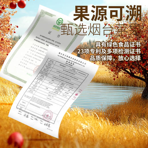 *自营*苹果醋6瓶装 | 92%果汁二次发酵苹果醋饮料饮品家庭装金果源 商品图3