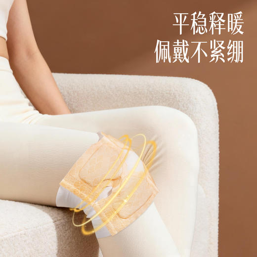 胡庆余堂草本红花暖膝精油贴 商品图3