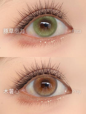 kira日抛 豚草愿力 绿/木薯心 棕 14.2mm 日抛无售后！！