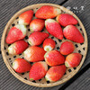【买赠，实发1.15-1.2公斤】大理生态草莓（基地直发-顺丰空运包邮）| 2斤/箱，来自云南大理，生产者：高海斌（合作生产，公平贸易） 商品缩略图6