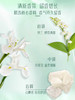 马丁马吉拉慵懒周末身体乳200ml QM 商品缩略图2