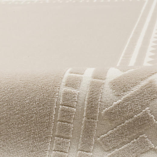 床边地毯客厅家用装饰地毯 旁白 商品图4