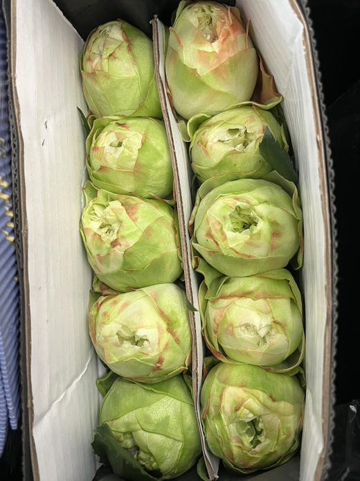 国产玫瑰-【夏雨荷】 商品图2