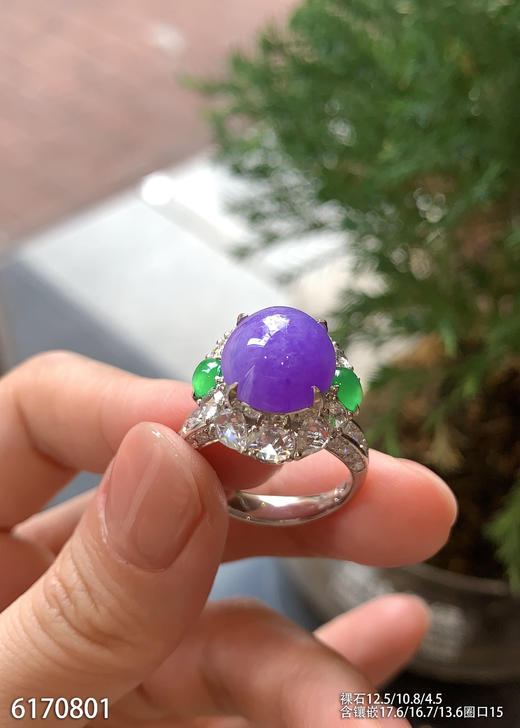 紫罗兰蛋面戒指【6170801】具体价格微信咨询 商品图1