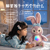 【回应你的每一个奇思妙想】AI陪伴幸运星对话泡泡球 大模型语音陪伴 亲子欢乐互动礼物儿童玩具 商品缩略图0