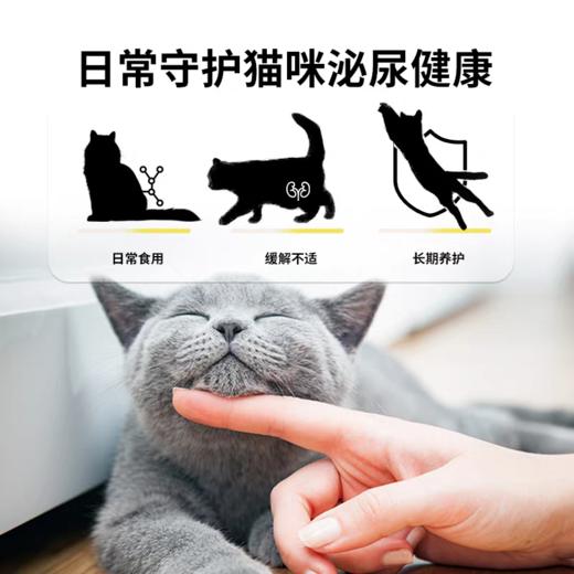 纽贝健全价处方罐头 猫用 胃肠道流质罐头 泌尿道流质罐头  85g/罐 商品图8