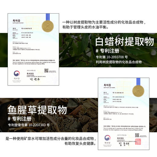 TS帝叶斯柔美染发膏 植萃提取 三效合一 染发+护发 温和不刺激 一梳即染  商品图3