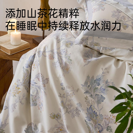 新疆长绒棉60支印花四件套(清禾) 商品图4