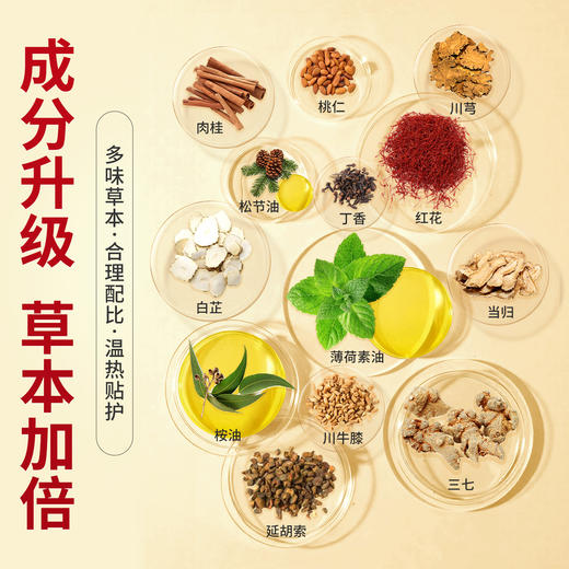 百年扁氏三七贴（佰之灵） 商品图1