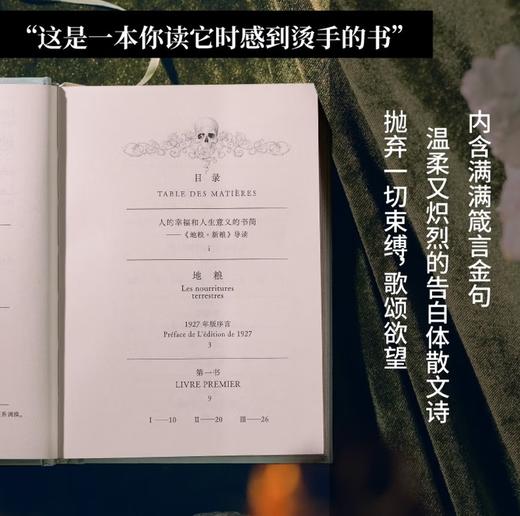 地粮·新粮 安德烈纪德著 又译人间食粮 诺贝尔文学奖得主《窄门》作者纪德作品 烫手的灵魂书写，启迪无数青年的划时代经典 外国文学随笔 商品图2
