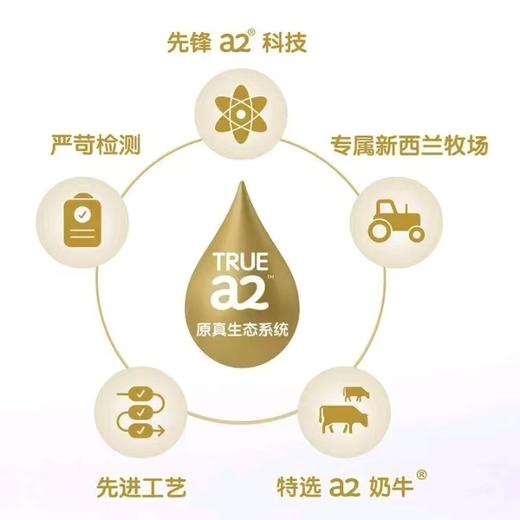 至初a2幼儿配方奶粉(12-36个月,3段)新国标850克*6罐新西兰原装进口 商品图3