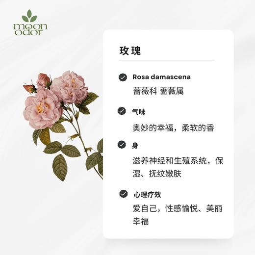 21  有机玫瑰精油【香气021】 商品图0
