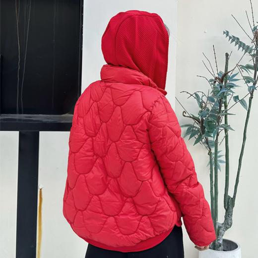 壁虎瑜伽【2601SY494】假两件针织连帽卫衣【5天发货】 商品图2