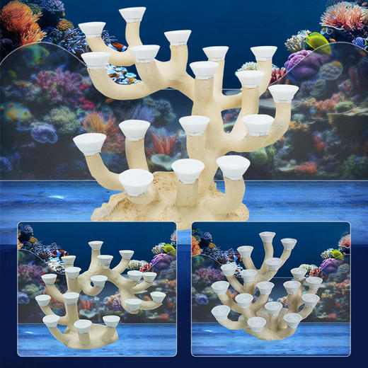 40-45缸枝状烧制造景 商品图5