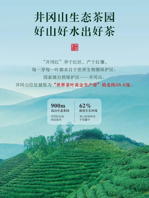 马年送井冈红，礼到福到运更红！马上有礼，茶香年浓！ 商品图4