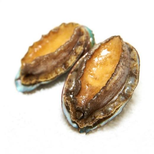 海岛之星 液氮速冻10头鲍鱼 10粒装*2 商品图0